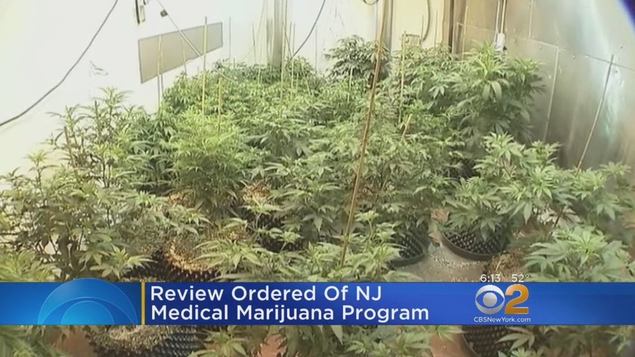 Gov. Phil Murphy Orders Review Of NJ's Medical Marijuana Program