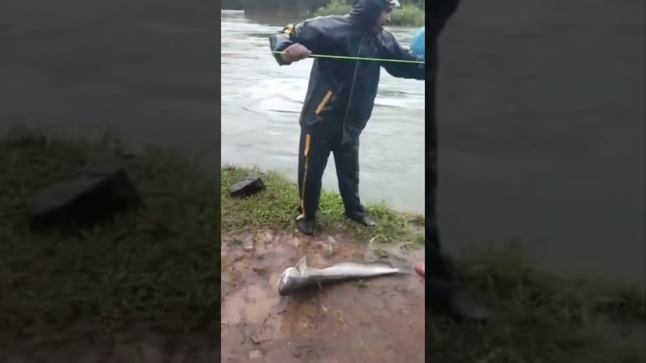 Indian River crazy fishing 🥵😂🤣🤣 
