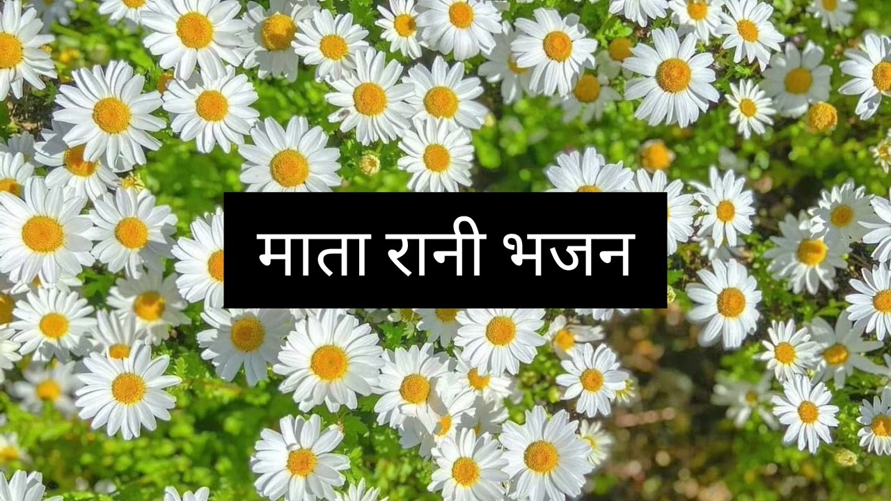 Mata Rani bhajan❤