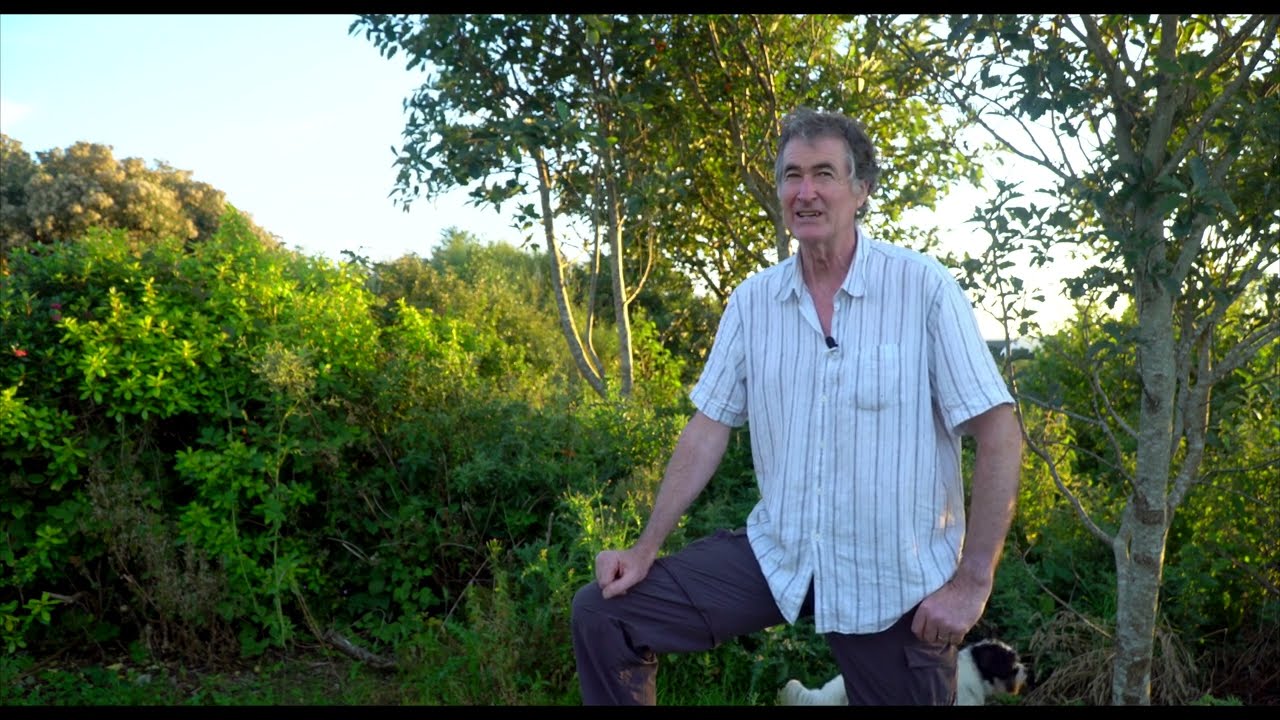 Cluain na dT&oacute;r Seaside Nursery & Gardens | Falcarragh | 2016