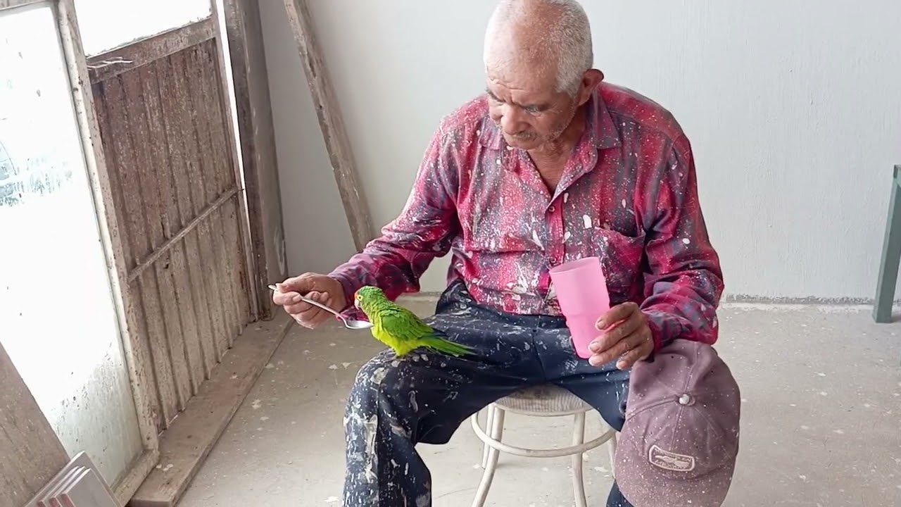 Tomando agüita de limón para refrescarnos