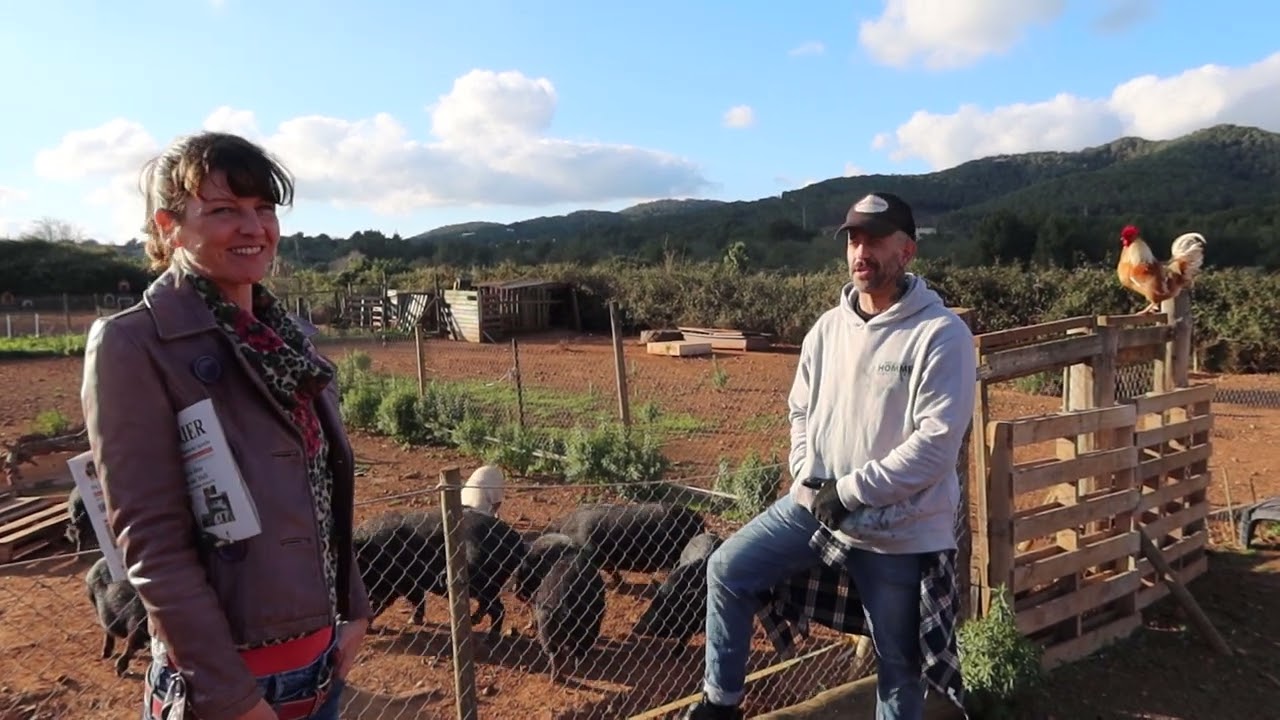 Ibiza ungeschnitten: Abrahams Arche