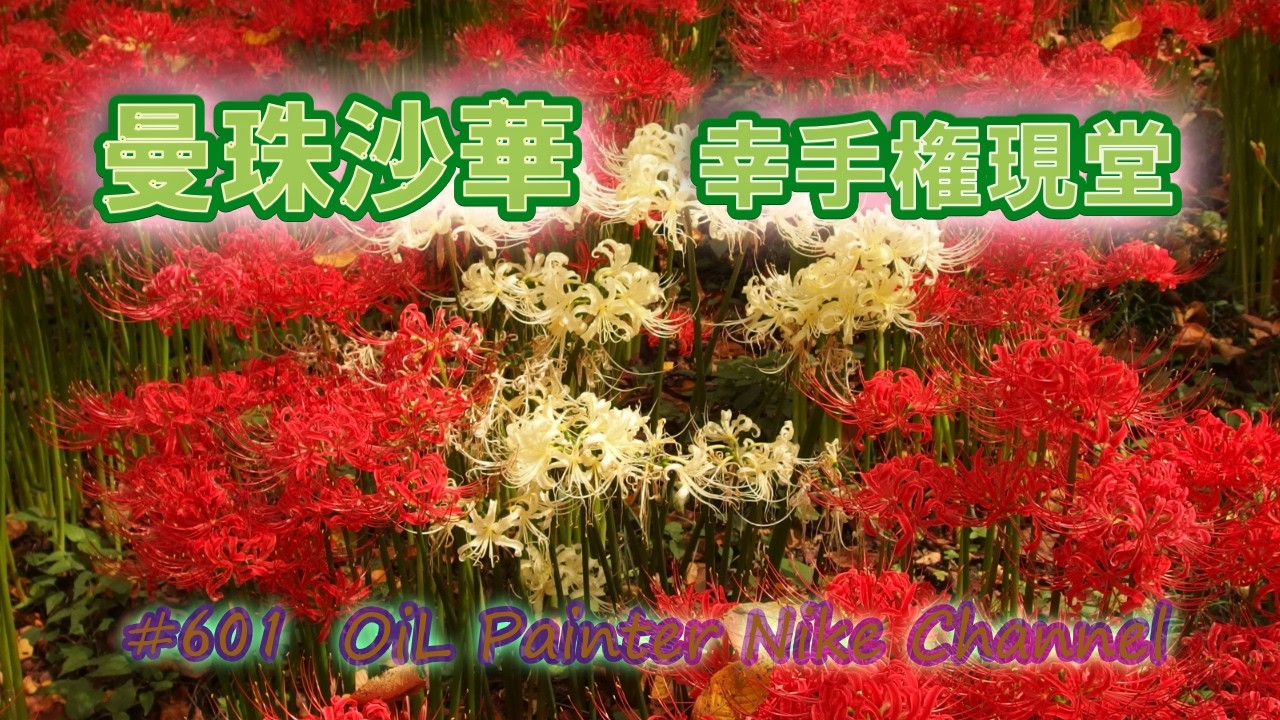 権現堂曼珠沙華 2014  #601-2