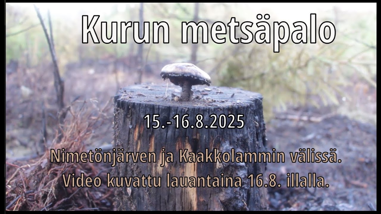 Kurun maastopalo 15.8.2025 (local wildfire)