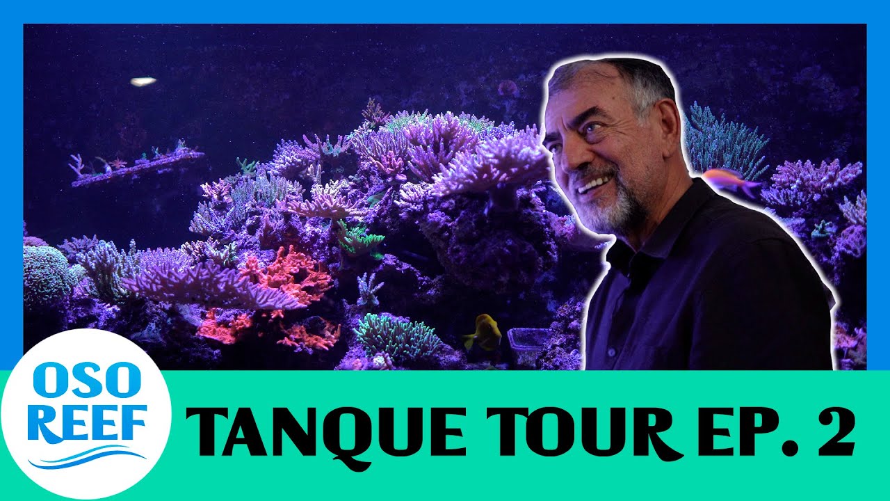 TANQUE TOUR EP. 2 / Alberto Assad