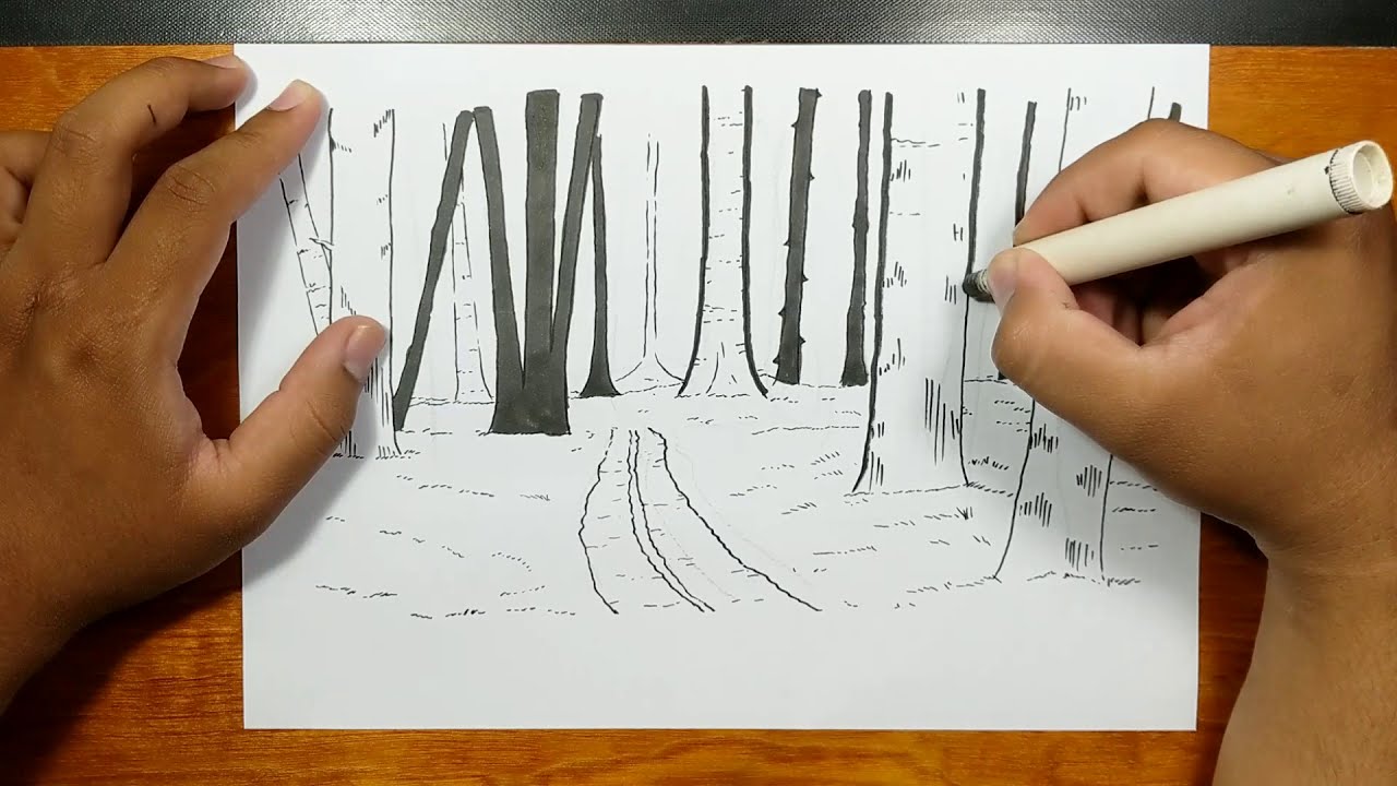 How to draw FOREST BACKGROUND step by step