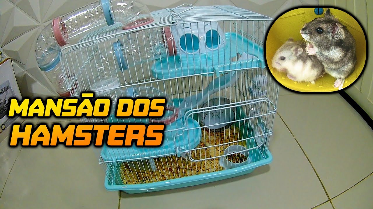 COMPRAMOS A GAIOLA SAFARI (3 ANDARES) - CASINHA DE HAMSTER