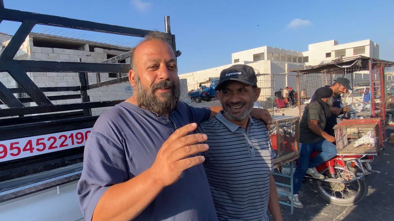 احلى جوز كازغندي اصفر  حمص للطيور تابع للنهاية🔥