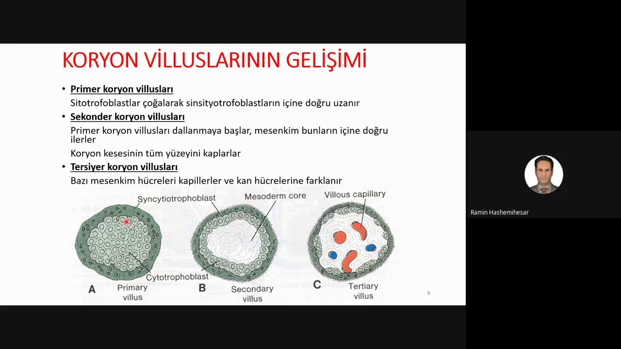 10  Plasenta ve fetal zarlar