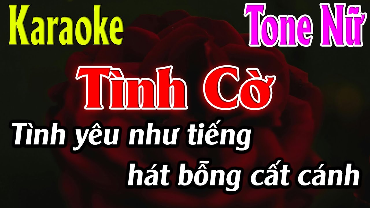 Tình Cờ Karaoke Tone Nữ Karaoke Lâm Organ - Beat Mới