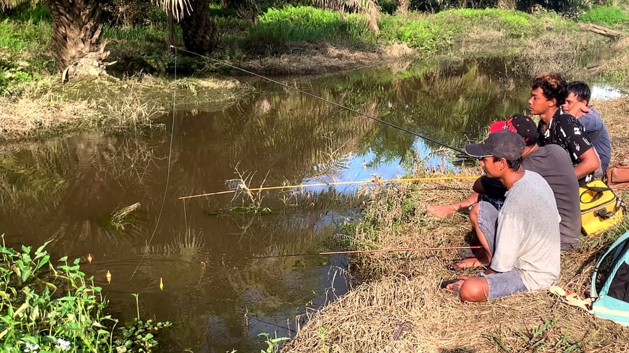 Kearifan lokal.!!! memancing ikan yang sangat menyenangkan