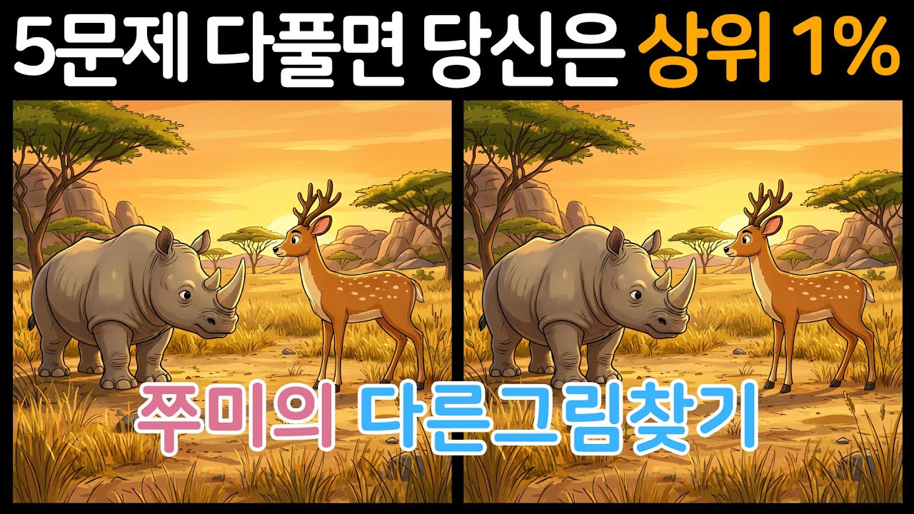【다른그림찾기】3D 그림으로 즐기는 고난도 틀린그림찾기 5문제