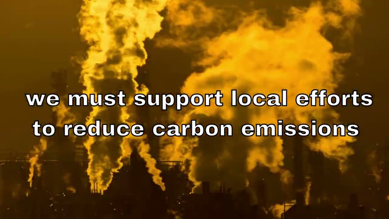 Climate change effects on the Maya Forest Corridor PSA Video