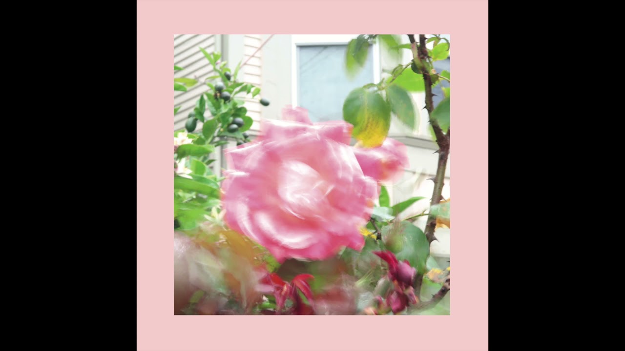 The Reds, Pinks & Purples - Pour The Light In