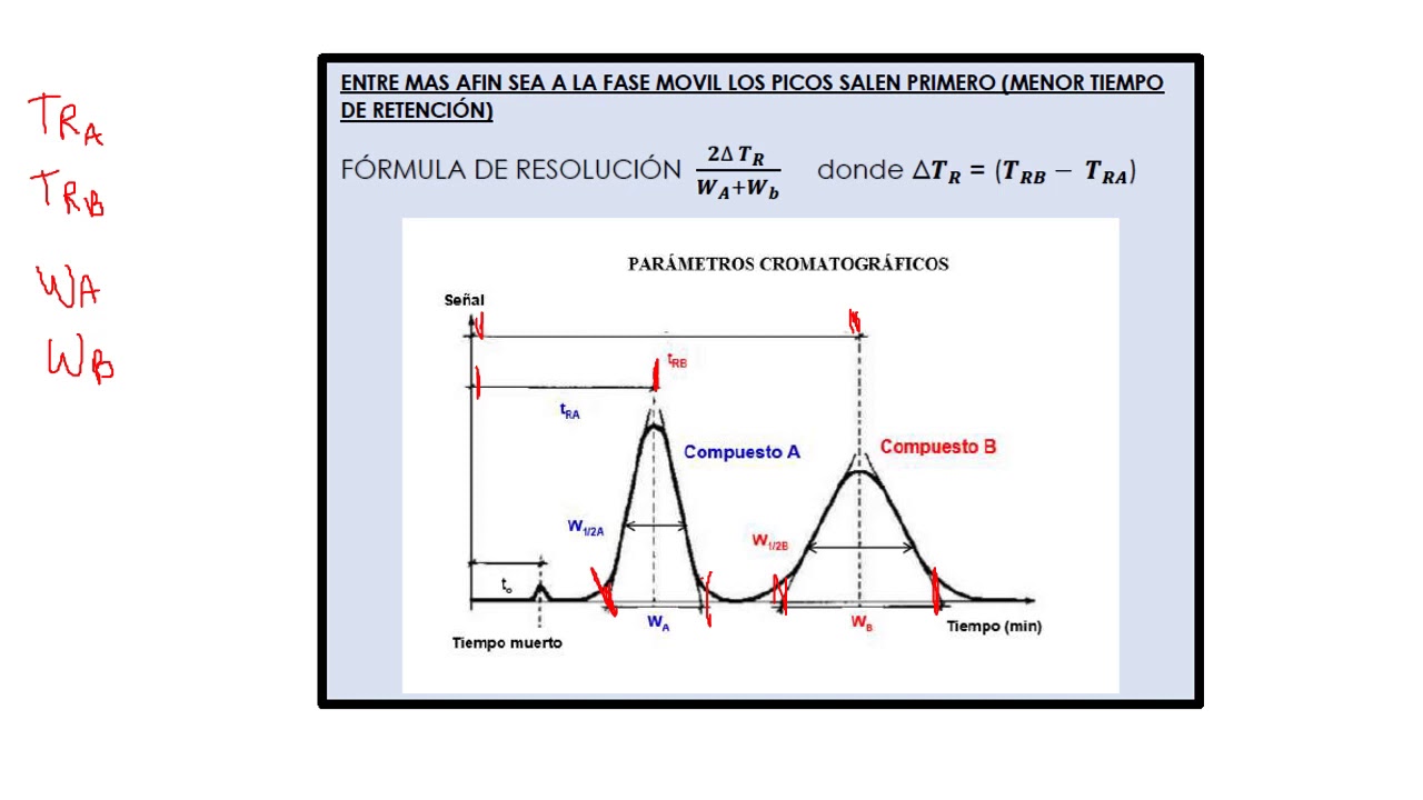 SOLUCIÓN CROMATOGRAMAS