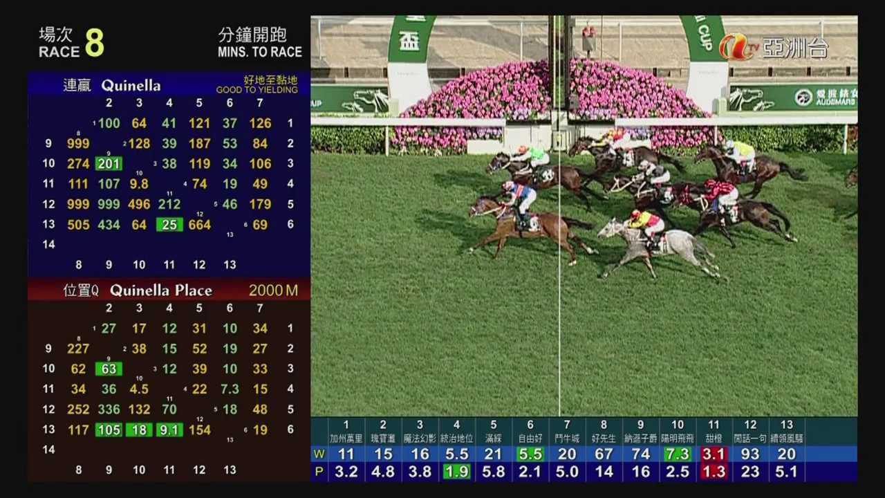 2012 女皇盃 QEII CUP エリザベスII世カップ 統治地位 RULERSHIP ルーラーシップ