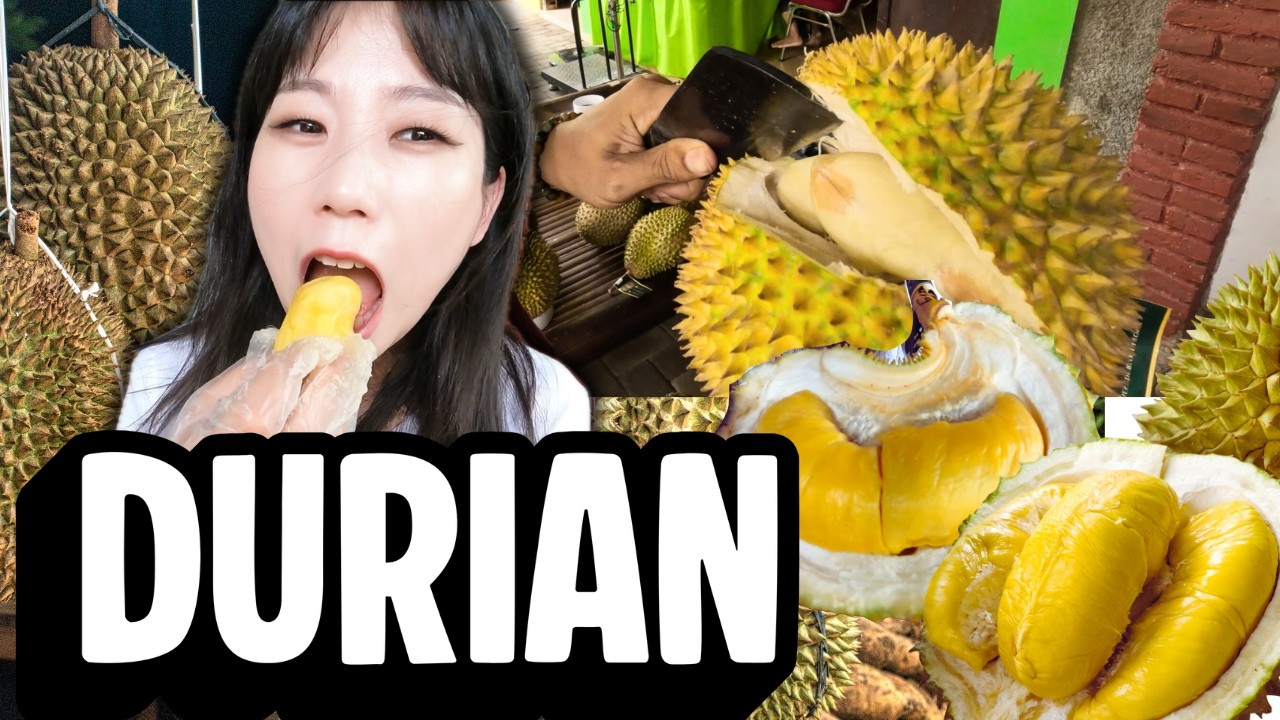 Musim Durian!! Makan Durian Premium! Kucing Tidur & Musang King 🍈✨