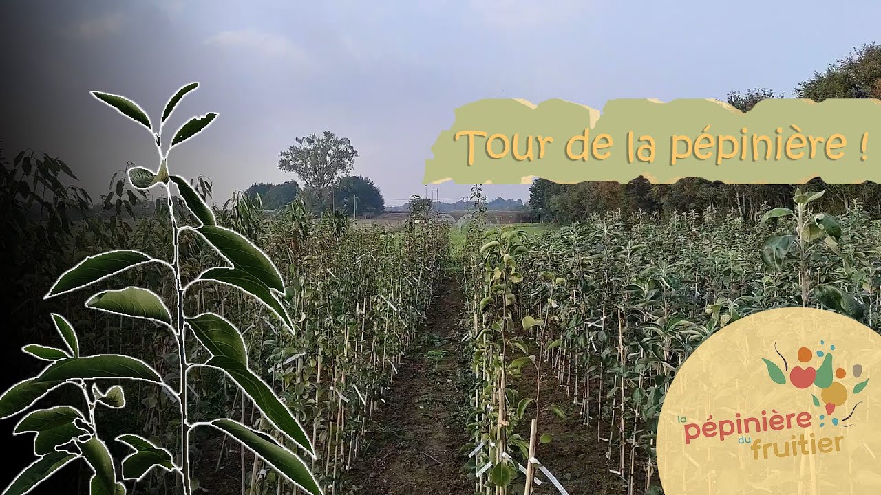 Visite des arbres de la pépinière ! Pépi'tour...