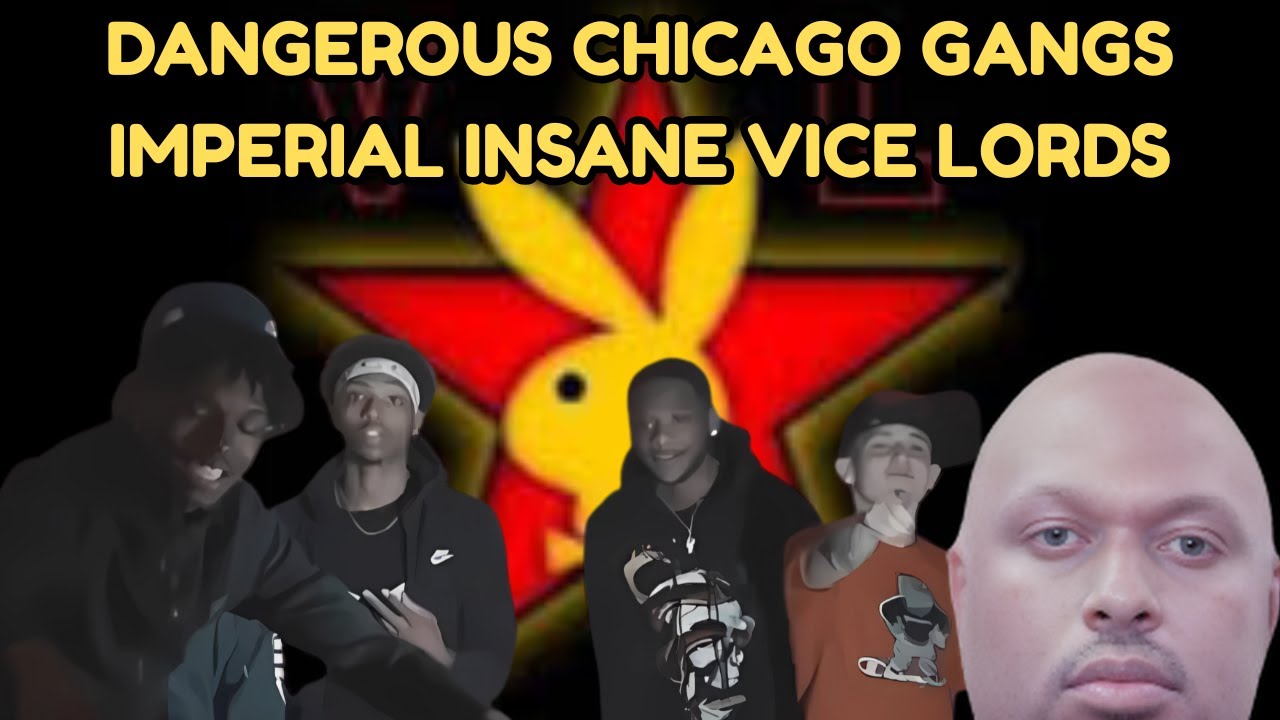 The Rise of the Imperial Insane Vice Lords: A Deep Dive into Chicago Gang History