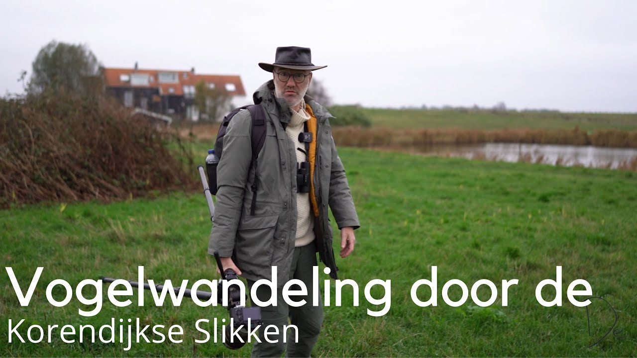 Vogelwandeling door de Korendijkse Slikken #1676