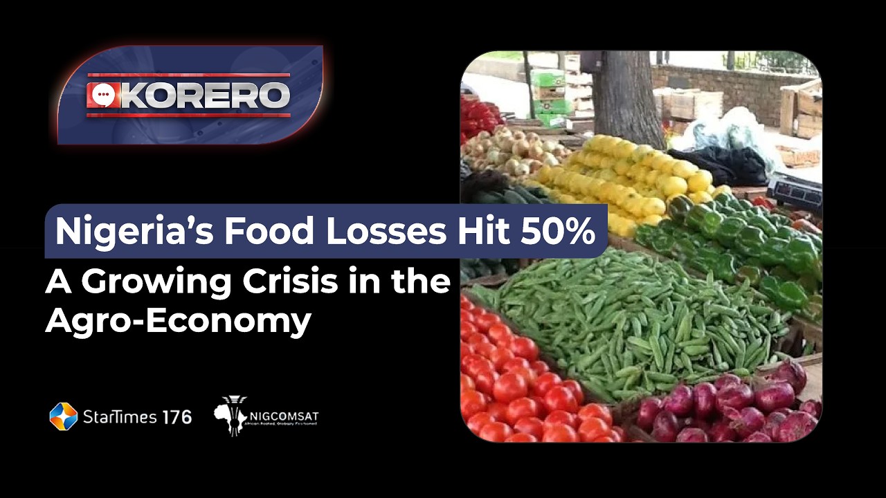 Nigeria’s Food Losses Hit 50% – A Growing Crisis in the Agro-Economy