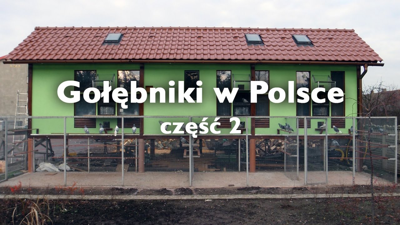 Gołębniki w Polsce - część 2
