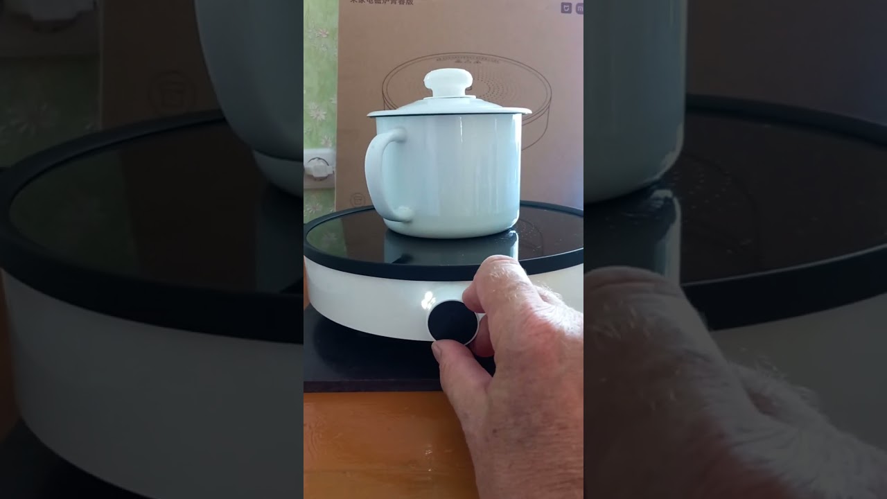 Индукционная плита Xiaomi Mi Induction Youth EU