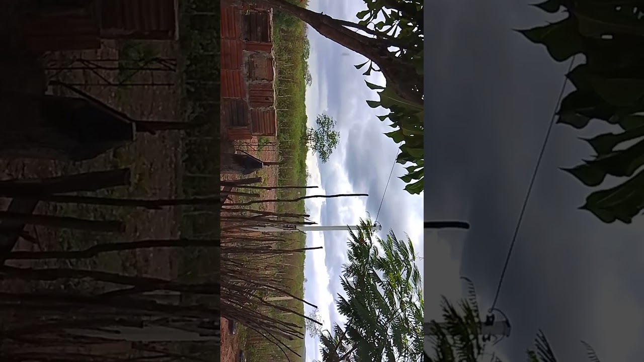 17 de fevereiro de 2026