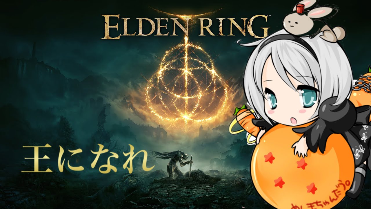 【ELDEN RING】無言でだらだらやるーーーーー！#22【PS5】