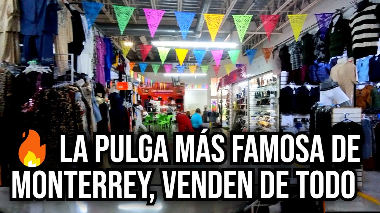 🔥 La PULGA más FAMOSA de MONTERREY 😱 | La Pulga Guadalupe en la Central de Abastos