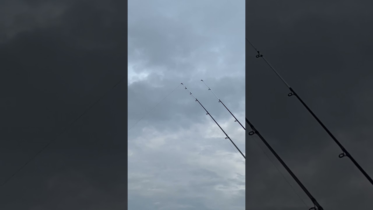 Vissen kanaal Gent Terneuzen met de vercelli hengels