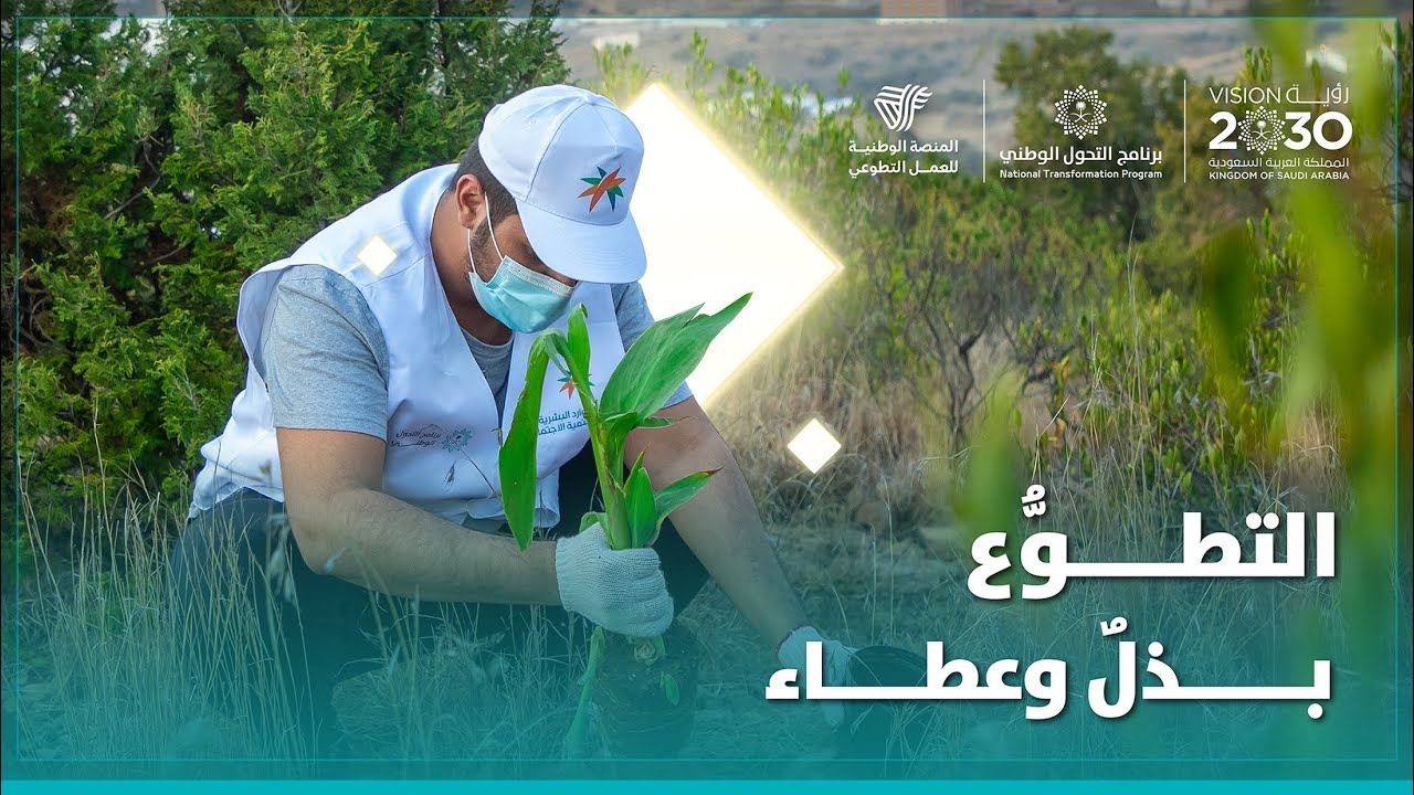 العمل التطوعي