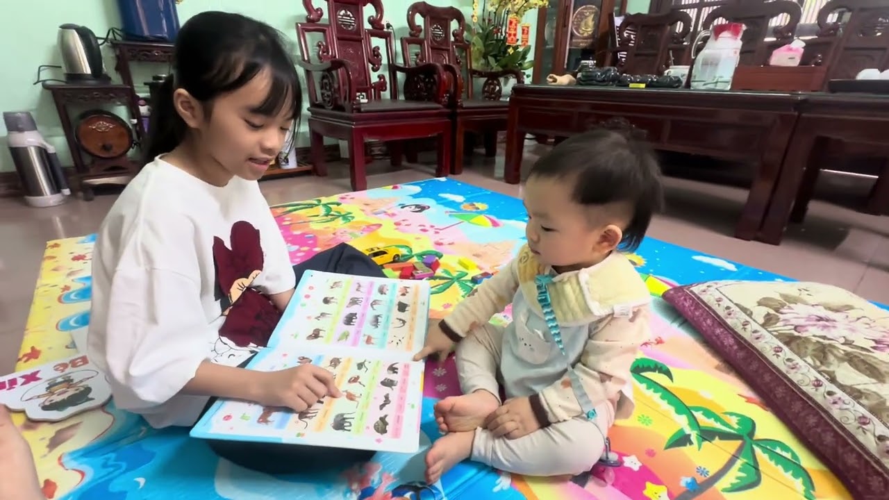 Cá Heo m5 Tết