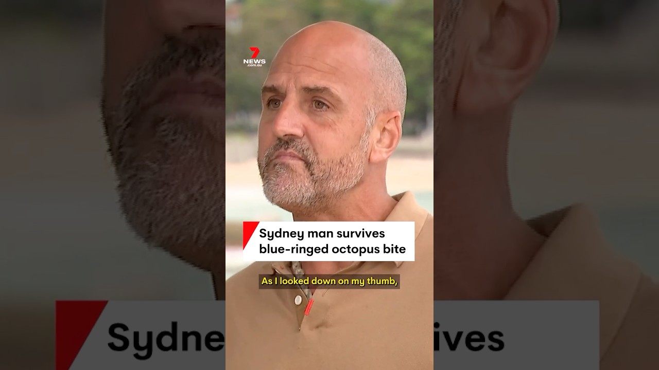 Sydney man survives blue-ringed octopus bite