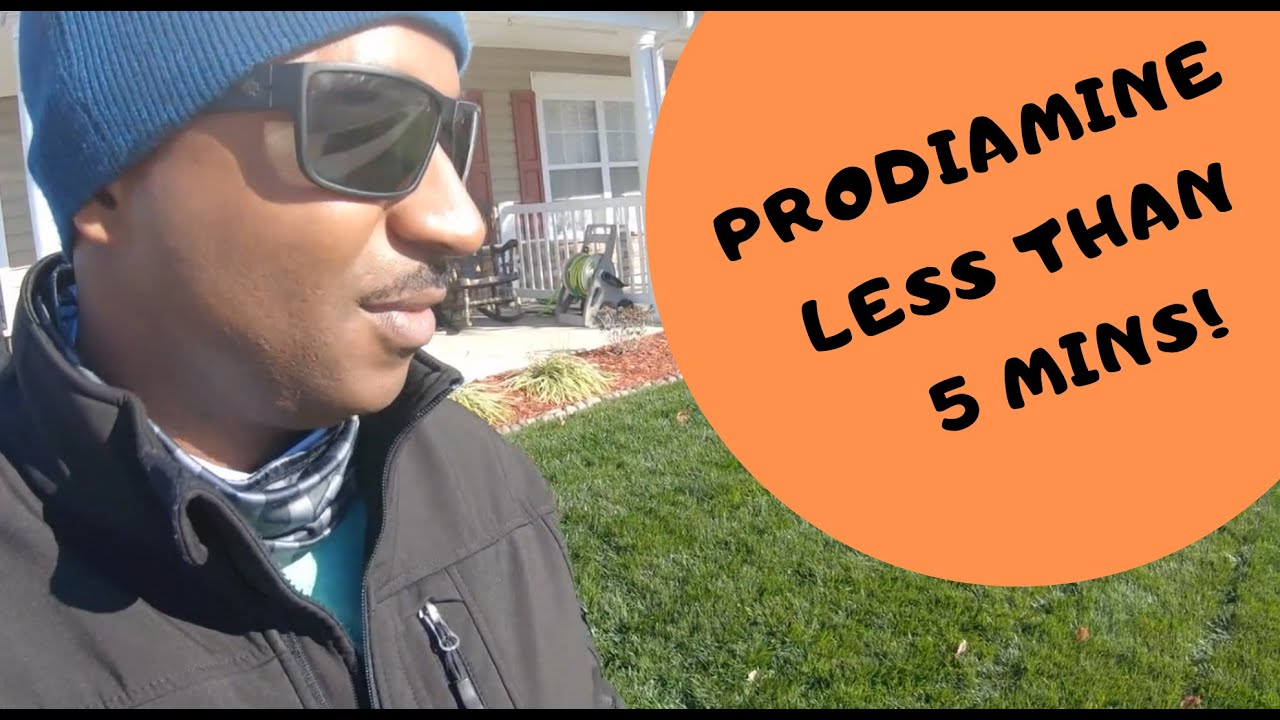 Crash Course on Prodiamine I Turf Tips w/ Rob