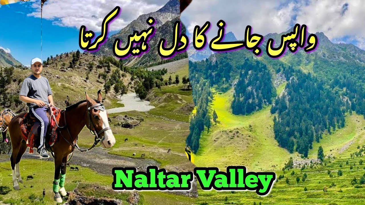 The Hidden Paradise in Gilgit Baltistan | The Naltar Valley