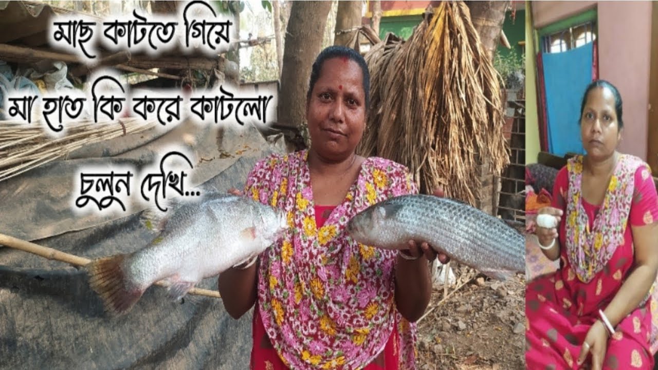 মাছ কাটতে গিয়ে মা হাত কি হল চুলুন দেখি....