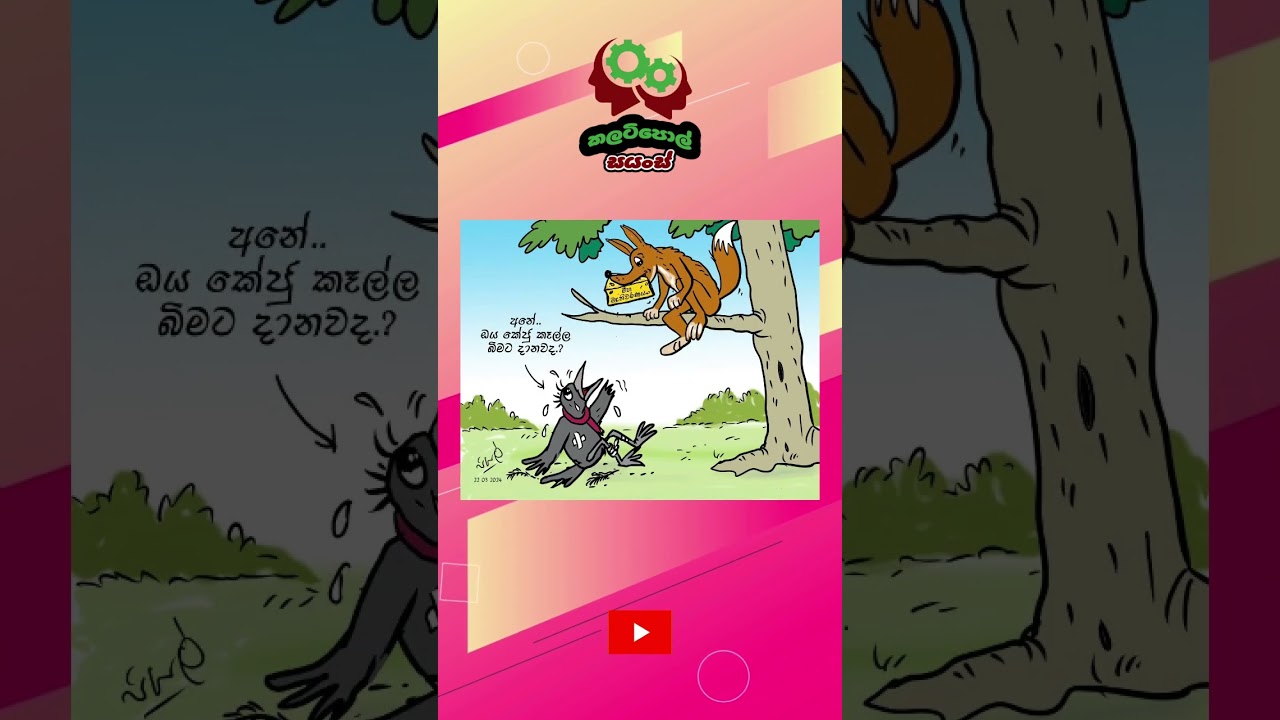 #cartoon  #funny #motivation #ranilwickremesinghe #slpolitics #politics #news  #slparliament