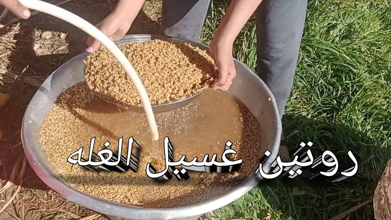 روتين بسيط جدا💧غسيل الغله من البدايه  حتي للنهاية #نجوي سالم #Nagwa sailm