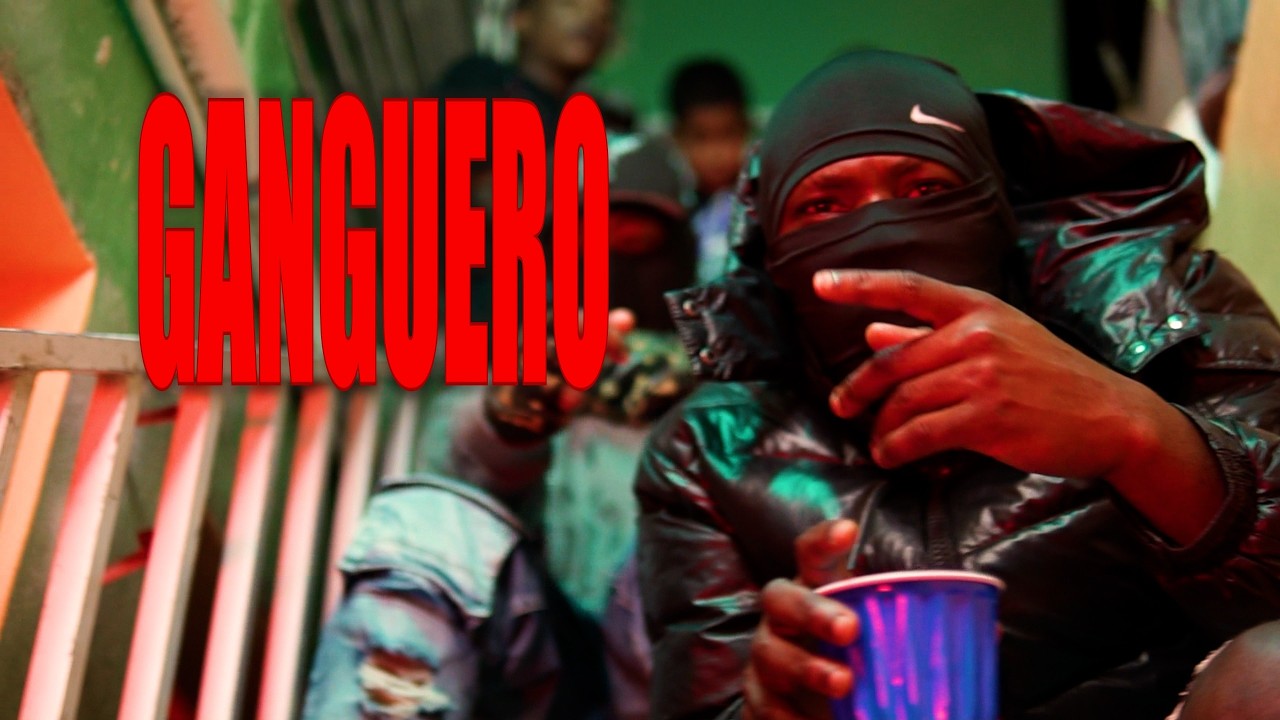 el jeffe del flow x trinny flow13...GANGUERPO.