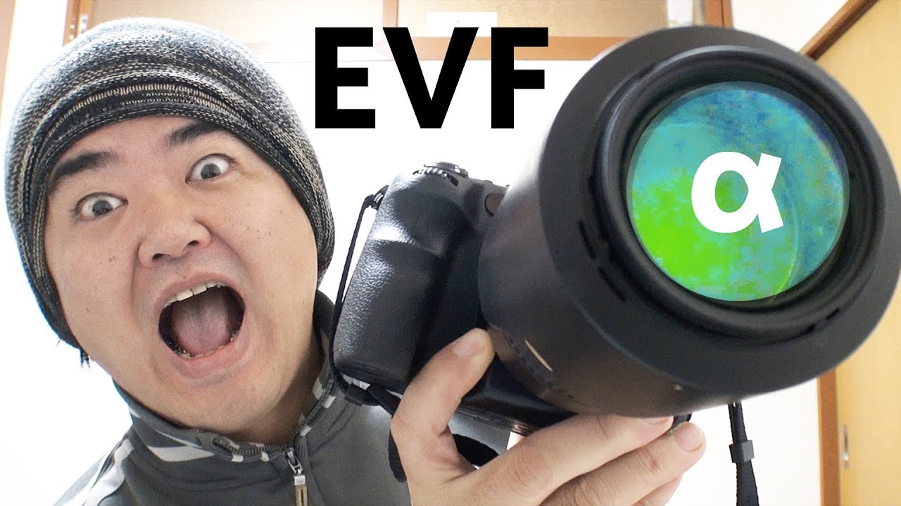 ソニーSLT-A99V「α99」のEVF性能なら超速カワセミの動体撮影は可能か？