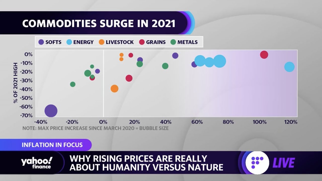 What rising commodity prices could tell us about humanity