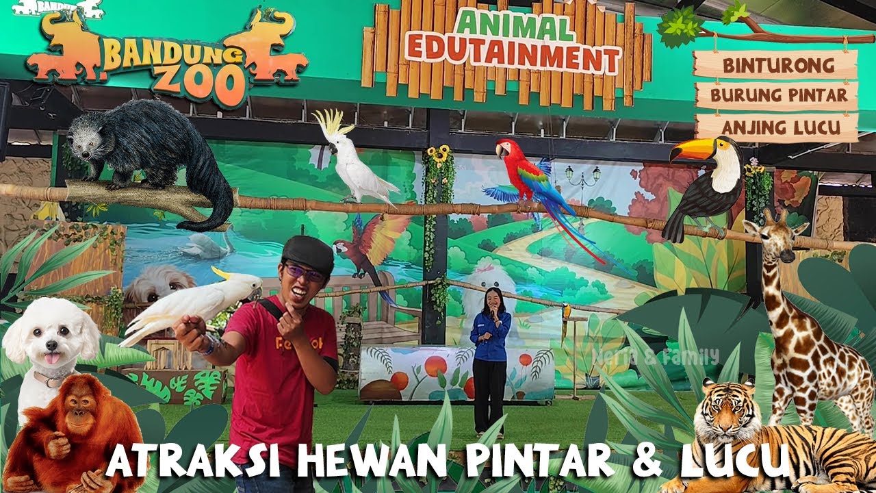 Serunya Atraksi Hewan Di Kebun Binatang Bandung 2025 | Full Video