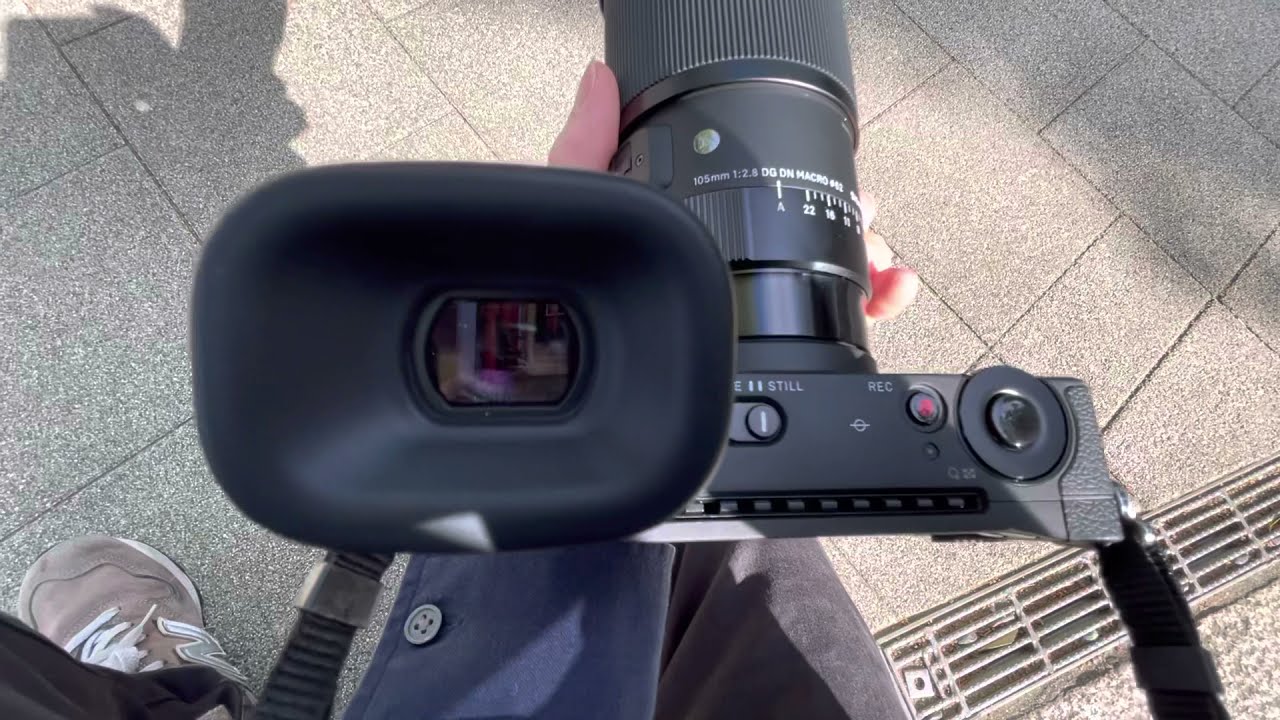 EVF-11 ファインダーを覗く