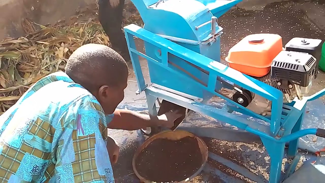Mashine ya kuchakata chakula Cha mifugo ikibaliza mashudu
