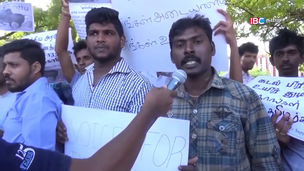 Jallikattu Support protest From Jaffna Srilanka |Vanakkam Thainadu |18.01.17| P-01