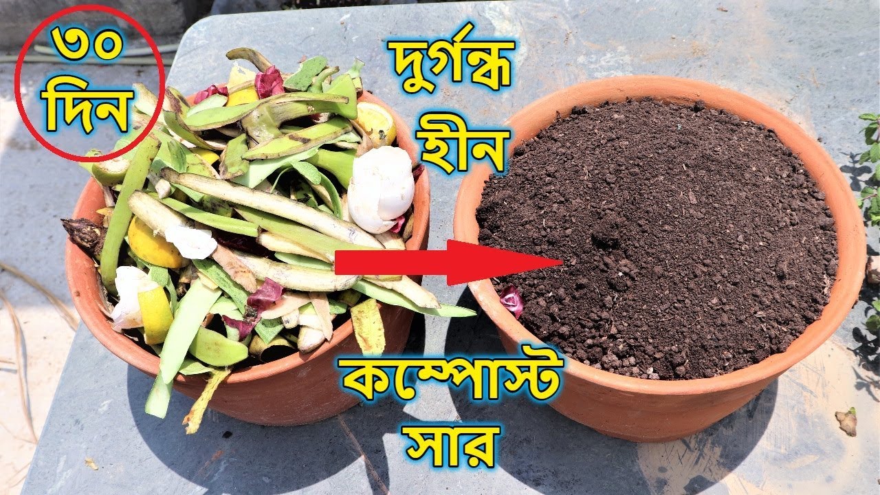 রান্নাঘর বর্জ্য থেকে দুর্গন্ধ হীন কম্পোস্ট সার তৈরি করুন || Make Kitchen Waste Compost at Home