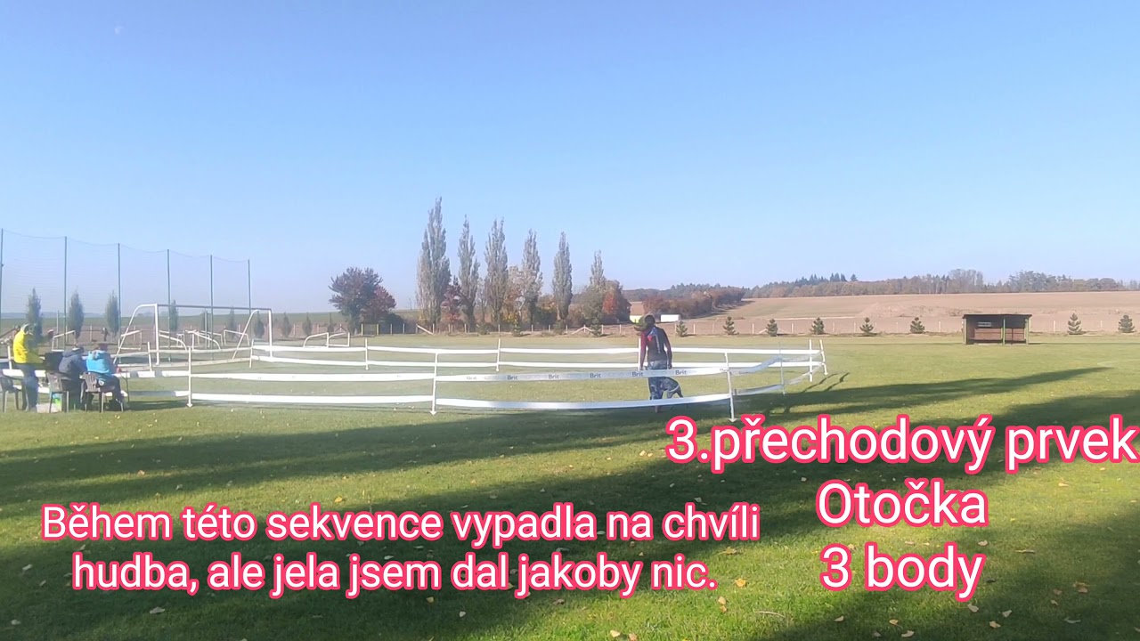 Dogdancingové zkoušky - DwD3 - VELMI DOBŘE