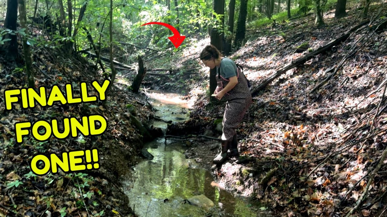 I'm SHOCKED! Ghost Town Treasure Hunters unearth Bucket List relic!