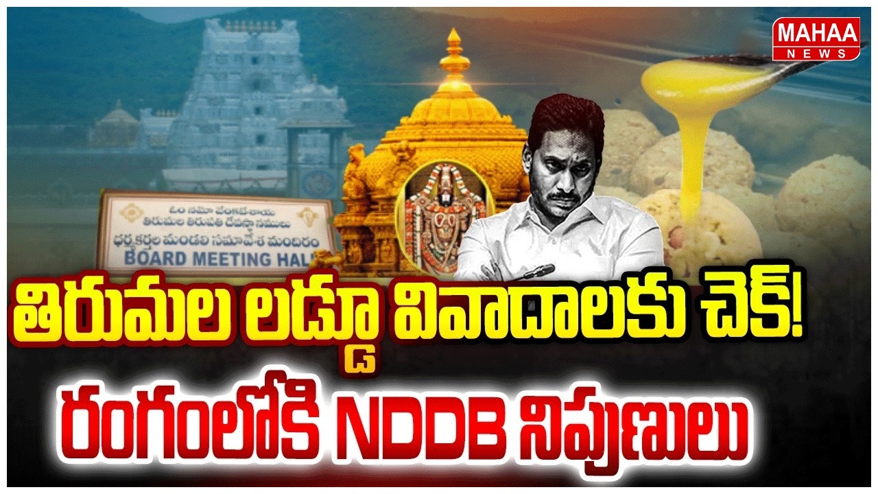 తిరుమల లడ్డూ వివాదాలకు చెక్! రంగంలోకి NDDB నిపుణులు | Tirumala Laddu Issue | Mahaa News